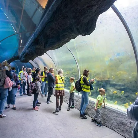 Апартаменты Baron Orientarium,aquapark Fala & Park Лодзь