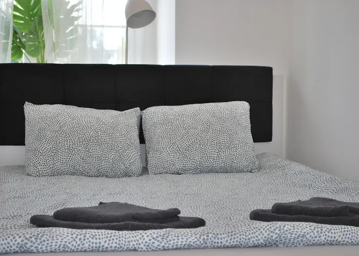 דירה Baron Orientarium,aquapark Fala & Park לודז'