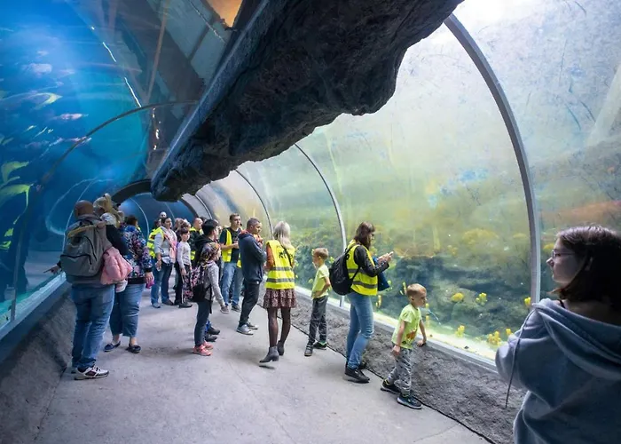 דירה Baron Orientarium,aquapark Fala & Park לודז'